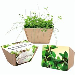 Produktabbildung Mini-Beet mit Samen - Glücksklee-Zwiebel, Lasergravur (* Je nach Verfügbarkeit der Glücksklee-Zwiebeln) Mini-Beet mit Samen - Glücksklee-Zwiebel, Lasergravur (* Je nach Verfügbarkeit der Glücksklee-Zwiebeln)