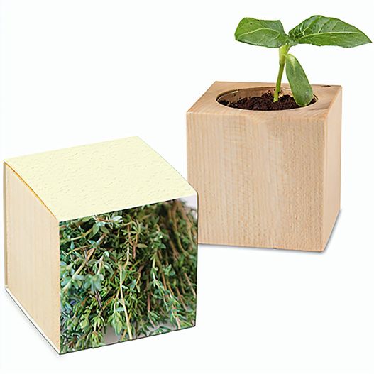 Pflanz-Holz mit Samen (Graspapier-Banderole) - Thymian, 2 Seiten gelasert (Bild 1)