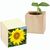 Pflanz-Holz mit Samen (Graspapier-Banderole) - Sonnenblume, 1 Seite gelasert