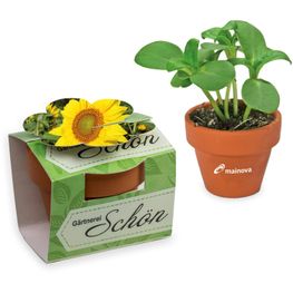 Tontöpfchen-Blume mit Samen - Sonnenblume inkl. Tampondruck