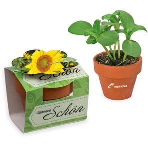 Tontöpfchen-Blume mit Samen - Sonnenblume inkl. Tampondruck
