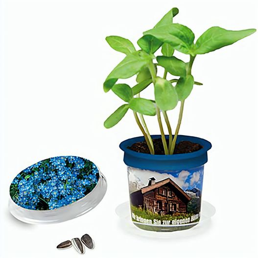 Produktabbildung Florero-Töpfchen mit Samen - blau - Vergissmeinnicht Florero-Töpfchen mit Samen - blau - Vergissmeinnicht (Bild 1)