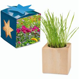 Pflanz-Holz Maxi Star-Box mit Samen - Sommerblumenmischung, 2 Seiten gelasert