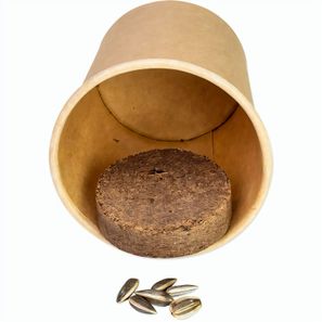 Pflanz-Würfel 2.0 mit Samen - Ostern - Eierbaumsamen