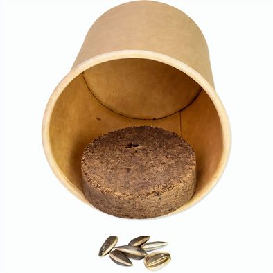 Pflanz-Würfel 2.0 mit Samen - Ostern - Eierbaumsamen