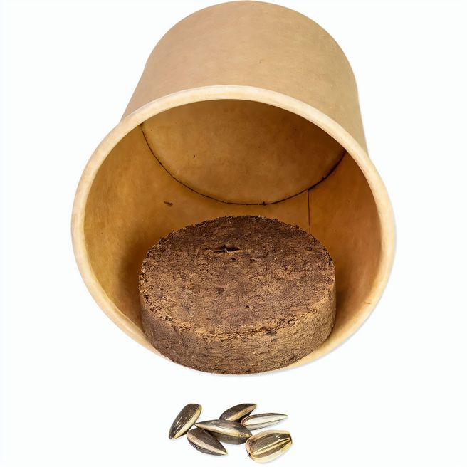 Pflanz-Würfel 2.0 mit Samen - Ostern - Eierbaumsamen