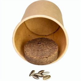 Pflanz-Würfel 2.0 mit Samen - Ostern - Eierbaumsamen