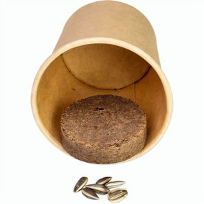 Pflanz-Würfel 2.0 mit Samen - Ostern - Eierbaumsamen