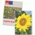 Samentütchen Mini - Recyclingpapier - Sonnenblumen (Bild 1)