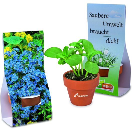 eine pflanze mit einer karte und einer pflanze darin Logo-Töpfchen Überreichverpackung mit Samen - Vergissmeinnicht (Bild 1)
