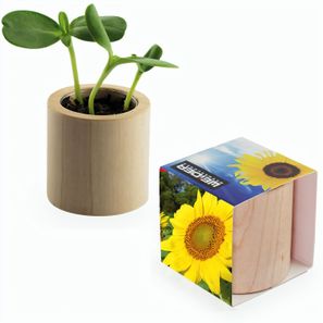 Pflanz-Holz rund mit Samen - Sonnenblume, Rundum-Lasergravur