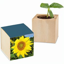 Pflanz-Holz mit Samen - Sonnenblume, 2 Seiten gelasert