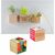 Pflanz-Holz Magnet mit Samen - Gewürzpaprika, 2 Seiten gelasert (Bild 3)