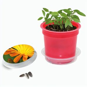 Florero-Töpfchen mit Samen - rot - Ringelblume
