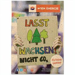 Samentütchen Mini - Graspapier - Sommerblumenmischung