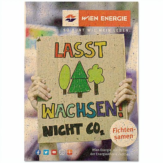 Samentütchen Mini - Graspapier - Sommerblumenmischung (Bild 1)