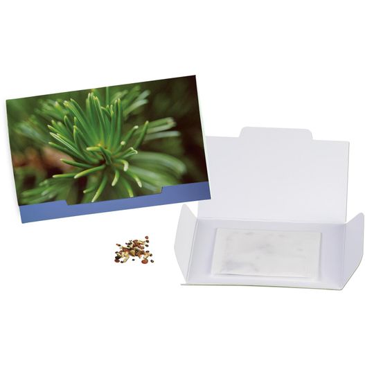 Flower-Card mit Samen - Fichte (Bild 1)