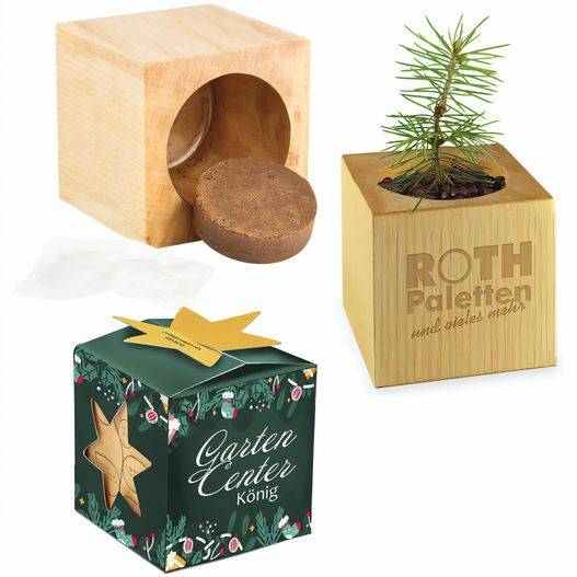 Pflanz-Holz Maxi Star-Box Xmas mit Fichtensamen - Fichte, 2 Seiten gelasert (Bild 1)