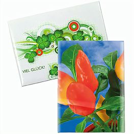 Samentütchen Mini - Standardpapier - Gewürzpaprika