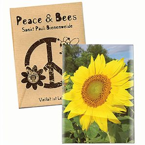 Samentütchen Mini - Natronkraftpapier - Sonnenblumen