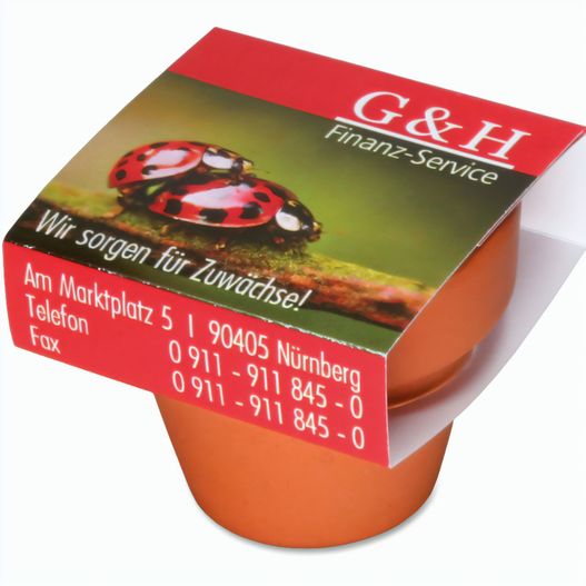 Logo-Topf mit Samen - teracotta - Basilikum (Bild 1)