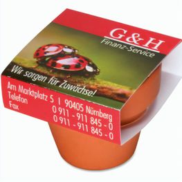 Logo-Topf mit Samen - teracotta - Basilikum