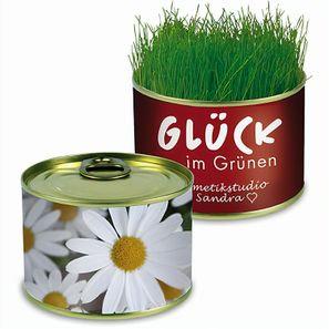 Natur-Konserve mit Samen - Margerite