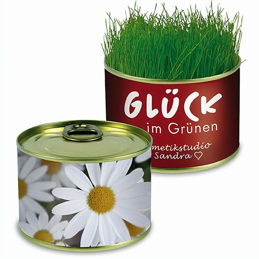 Natur-Konserve mit Samen - Margerite (Bild 1)