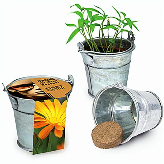 Pflanzeimerchen mit Samen - Ringelblume (Bild 1)