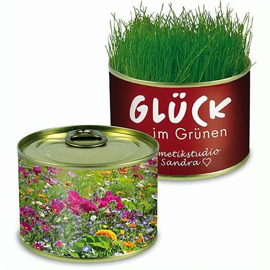 Natur-Konserve mit Samen - Sommerblumenmischung (Bild 1)