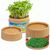 Pflanz-Cup mit Samen - Gartenkresse (Bild 1)