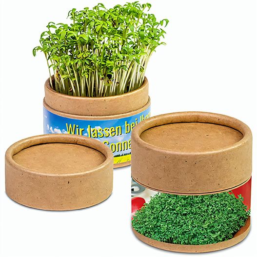 Pflanz-Cup mit Samen - Gartenkresse (Bild 1)