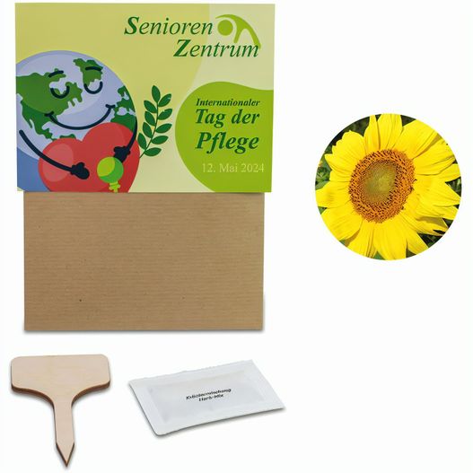 Pflanz-Set - 3er-Set - freie Zusammenstellung (Bild 1)