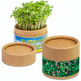 Pflanz-Cup mit Samen - Persischer Klee