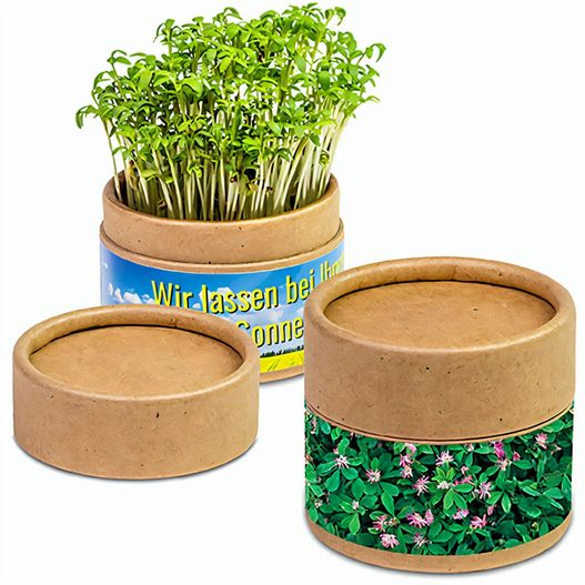 Pflanz-Cup mit Samen - Persischer Klee (Bild 1)
