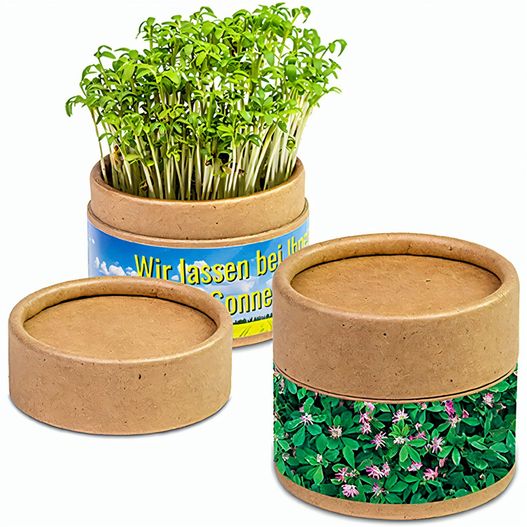 Pflanz-Cup mit Samen - Persischer Klee (Bild 1)