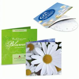 Green-Card mit Samen - Margerite, 4/4-c