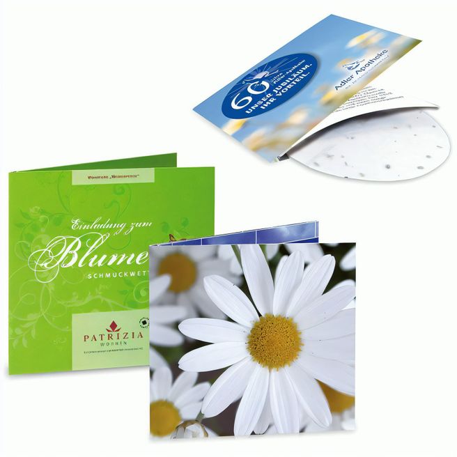 Green-Card mit Samen - Margerite, 4/4-c