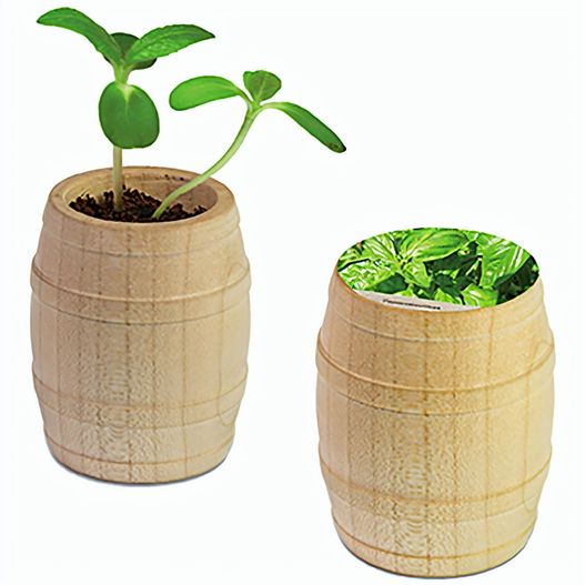 Pflanz-Fässchen mit Samen - Basilikum (Bild 1)