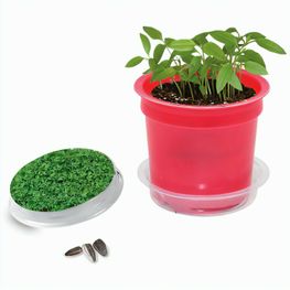 Florero-Töpfchen mit Samen - rot - Gartenkresse