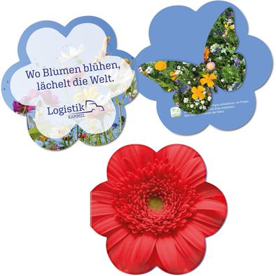 Samenpapier in Klappkärtchen Blume - Schmetterling