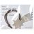 Nussknacker - Standardmotiv  - Standard Komet + Lasergravur (Bild 2)