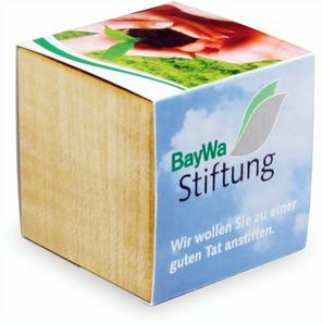 Pflanz-Holz Magnet mit Samen - Thymian, 1 Seite gelasert