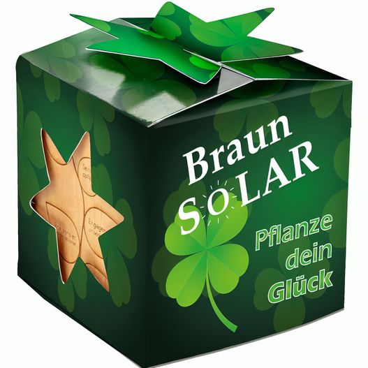 Produktabbildung Pflanz-Holz Star-Box mit Samen - Glücksklee-Zwiebel (* Je nach Verfügbarkeit der Glücksklee-Zwiebeln) Pflanz-Holz Star-Box mit Samen - Glücksklee-Zwiebel (* Je nach Verfügbarkeit der Glücksklee-Zwiebeln) (Bild 1)