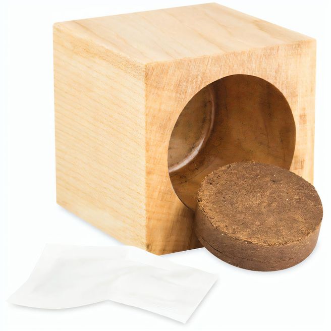 Pflanz-Holz Star-Box mit Samen - Glücksklee-Zwiebel (* Je nach Verfügbarkeit der Glücksklee-Zwiebeln)