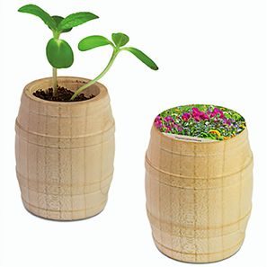 Pflanz-Fässchen mit Samen - Sommerblumenmischung