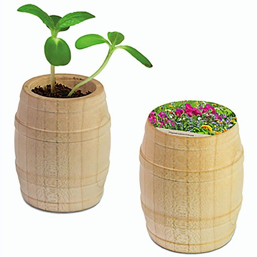 Pflanz-Fässchen mit Samen - Sommerblumenmischung (Bild 1)