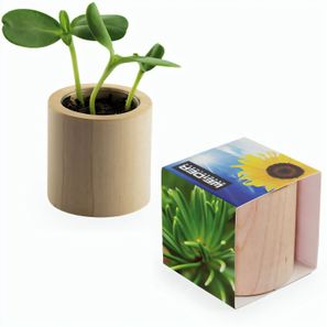 Pflanz-Holz rund mit Samen - Fichte, Lasergravur
