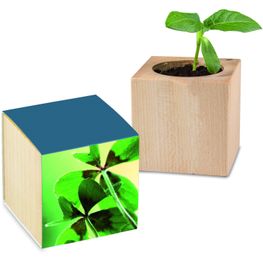 Pflanz-Holz Glücksklee - ohne Lasergravur (* Je nach Verfügbarkeit der Glücksklee-Zwiebeln)