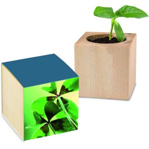 Pflanz-Holz Glücksklee - ohne Lasergravur (* Je nach Verfügbarkeit der Glücksklee-Zwiebeln)